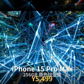 iPhone 15 Pro Max 256GB 原色钛金属