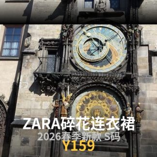 ZARA 2026春季新款碎花连衣裙 S码