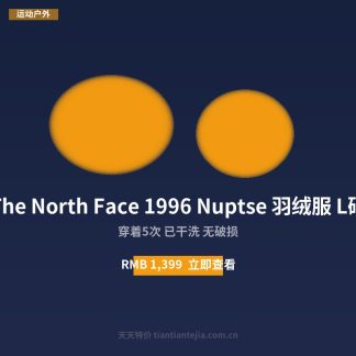 The North Face 1996 Nuptse 羽绒服 L码