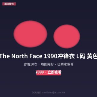 The North Face 1990冲锋衣 L码 黄色