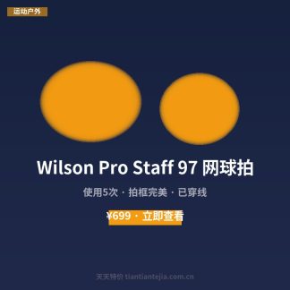 Wilson Pro Staff 97 网球拍